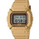 Casio G-Shock DW-5600PT